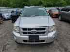 2010 FORD ESCAPE