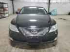 2007 LEXUS LS 460