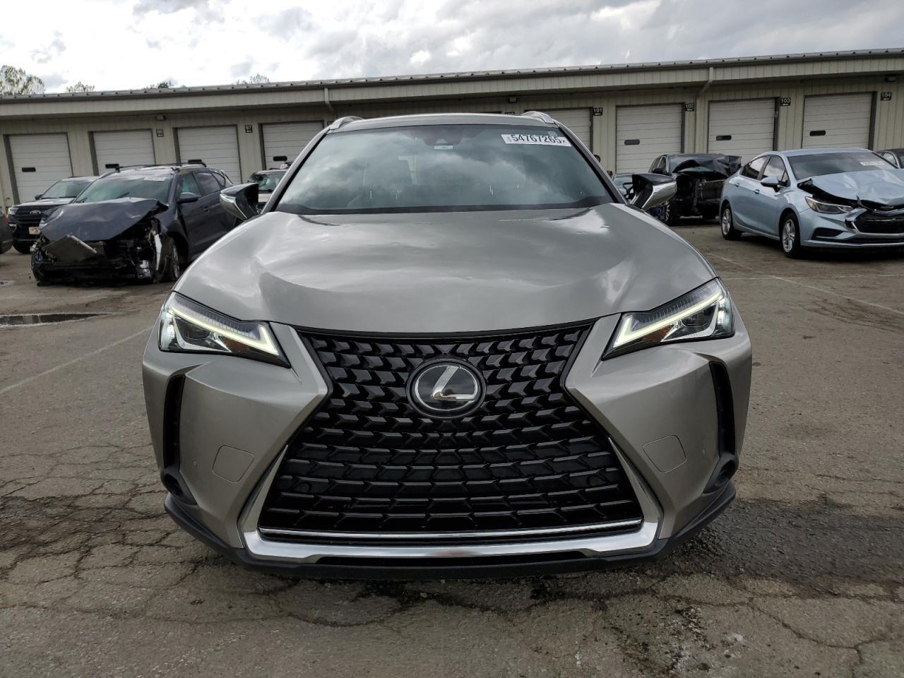 2019 LEXUS Ux