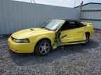 2002 FORD MUSTANG