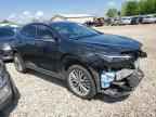 2025 LEXUS Nx