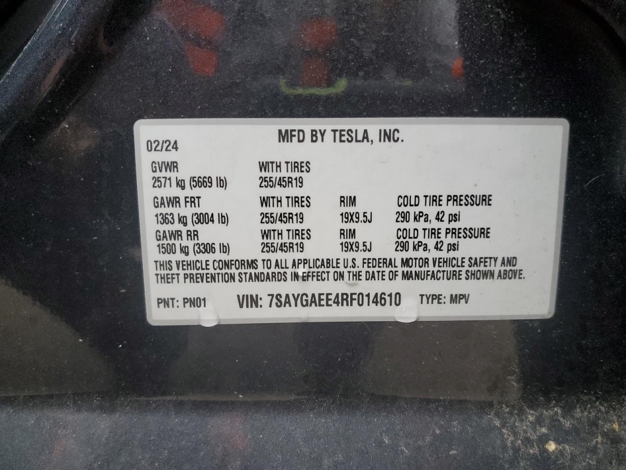 2024 TESLA MODEL Y