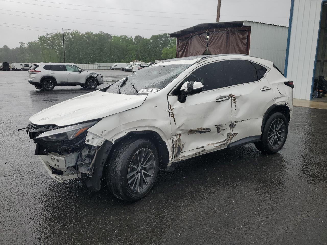 2024 LEXUS NX 350