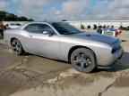 2013 DODGE Challenger