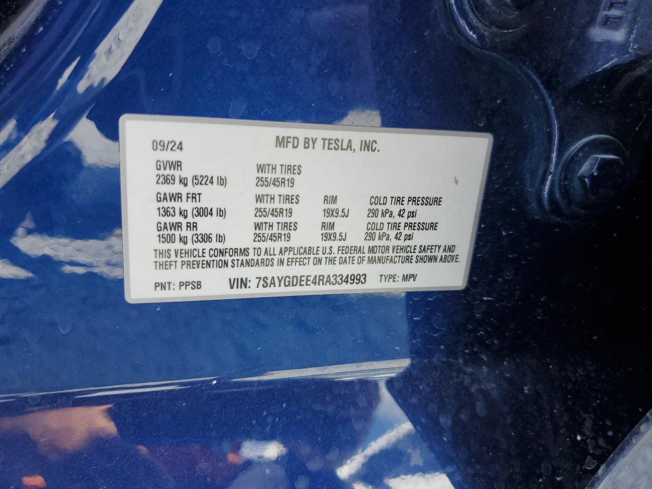 2024 TESLA MODEL Y