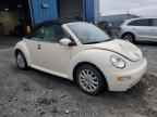 2005 VOLKSWAGEN Beetle