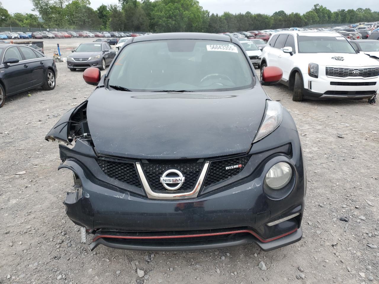 2013 NISSAN Juke
