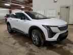 2025 CADILLAC OPTIQ