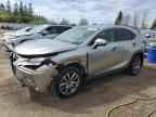 2020 LEXUS Nx