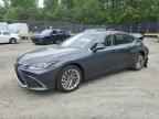 2023 LEXUS Es 300