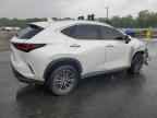 2024 LEXUS NX 350