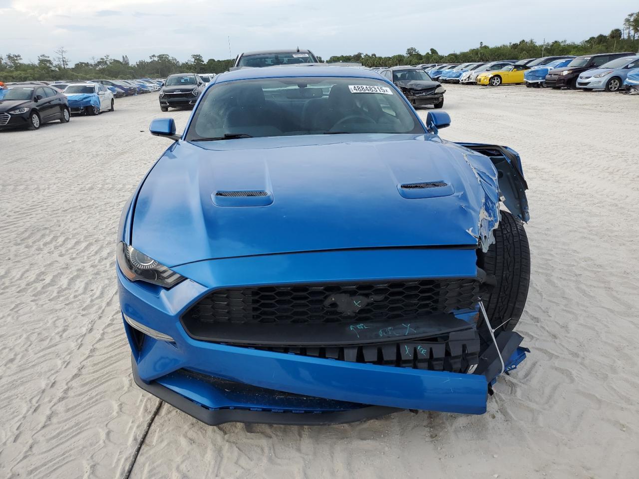2019 FORD MUSTANG