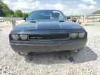 2013 DODGE Challenger