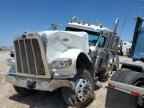 2023 PETERBILT 389