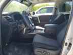 2024 TOYOTA 4Runner
