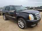 2014 CADILLAC ESCALADE