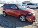 2025 KIA SOUL