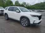 2024 HONDA PILOT