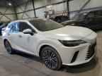 2024 LEXUS RX 350