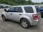 2010 FORD ESCAPE