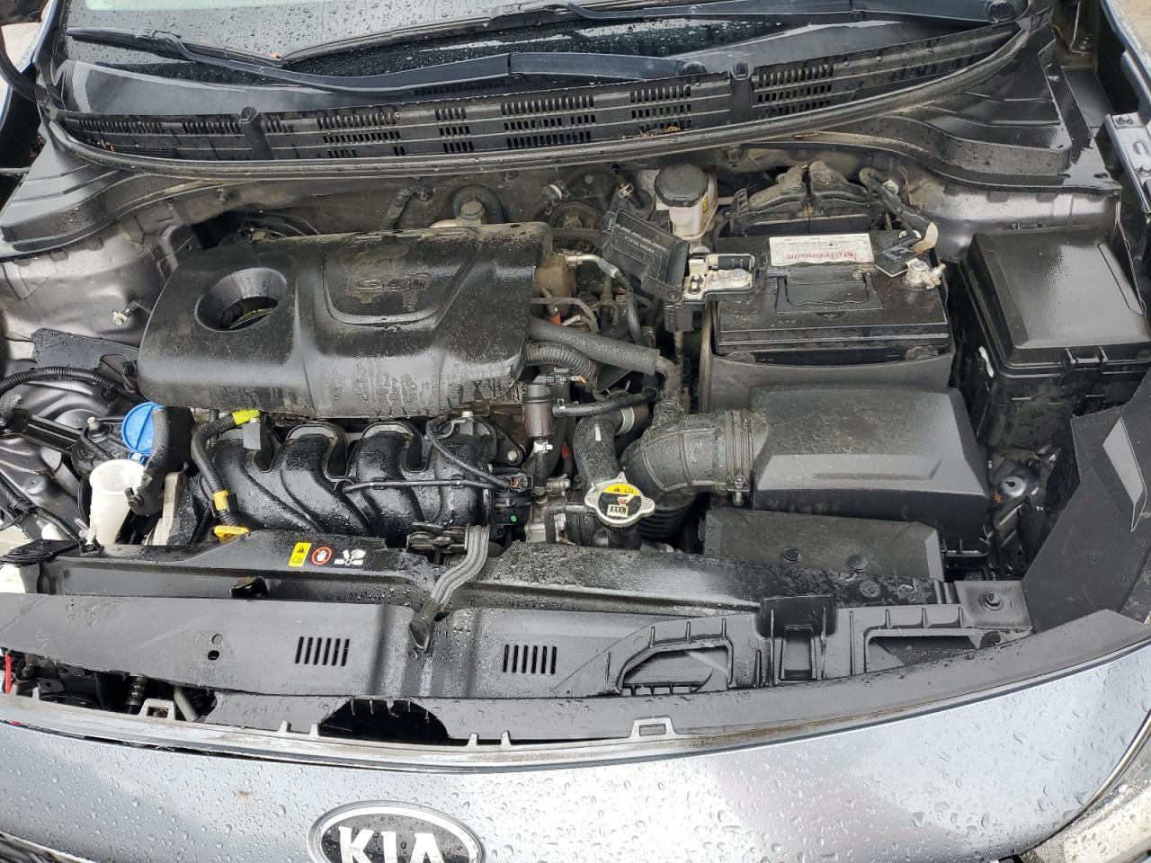 2019 KIA RIO