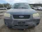 2006 FORD ESCAPE