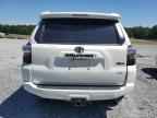 2024 TOYOTA 4Runner