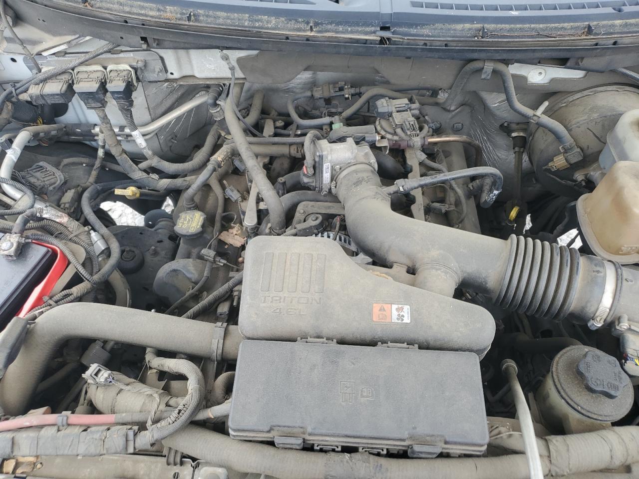 2010 FORD F-150