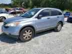 2010 HONDA CR-V