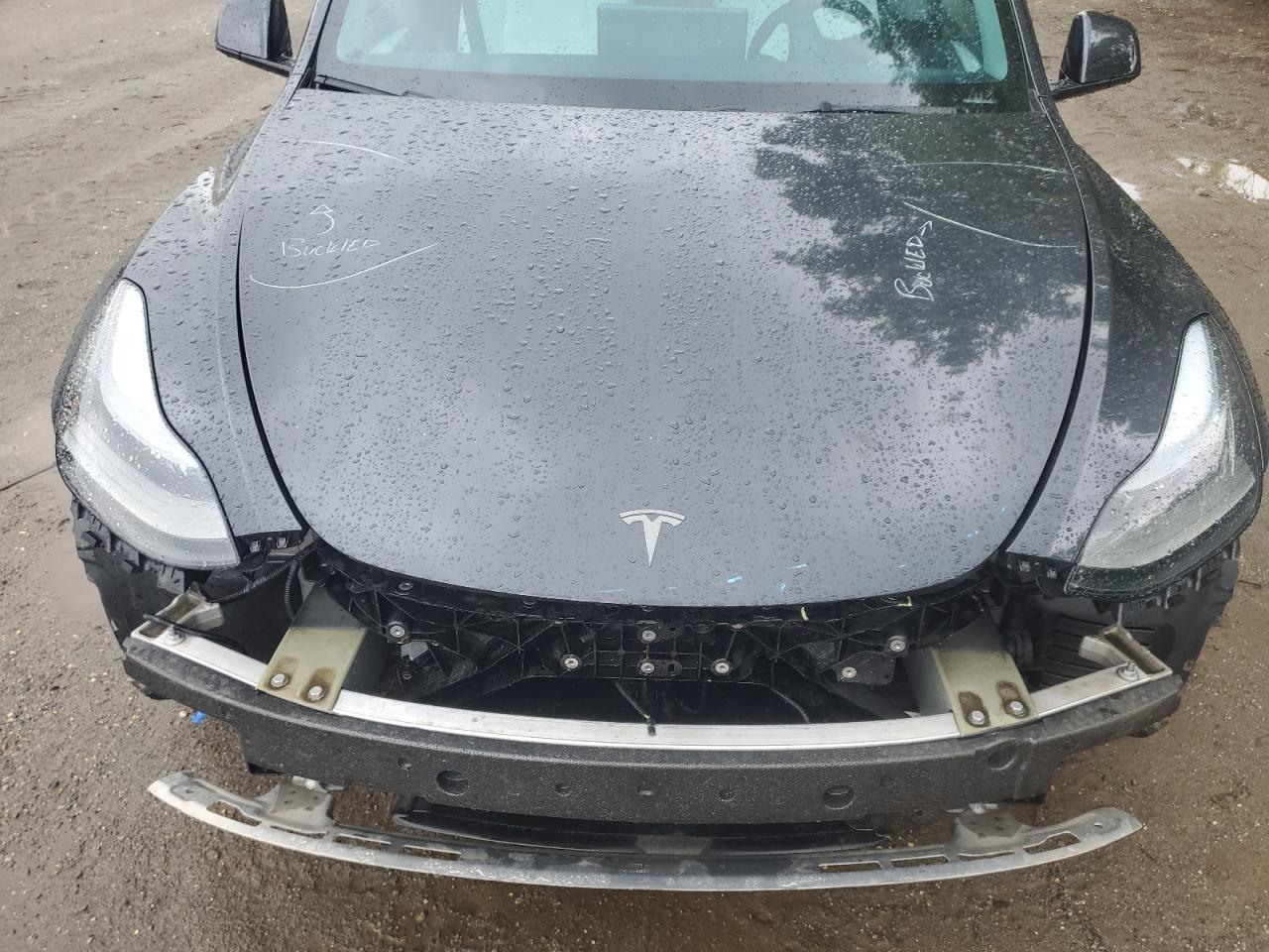 2024 TESLA MODEL Y