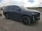 2021 CADILLAC ESCALADE