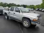 2004 DODGE Dakota