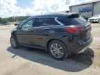 2024 INFINITI QX50