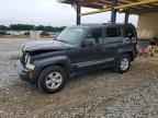 2010 JEEP Liberty