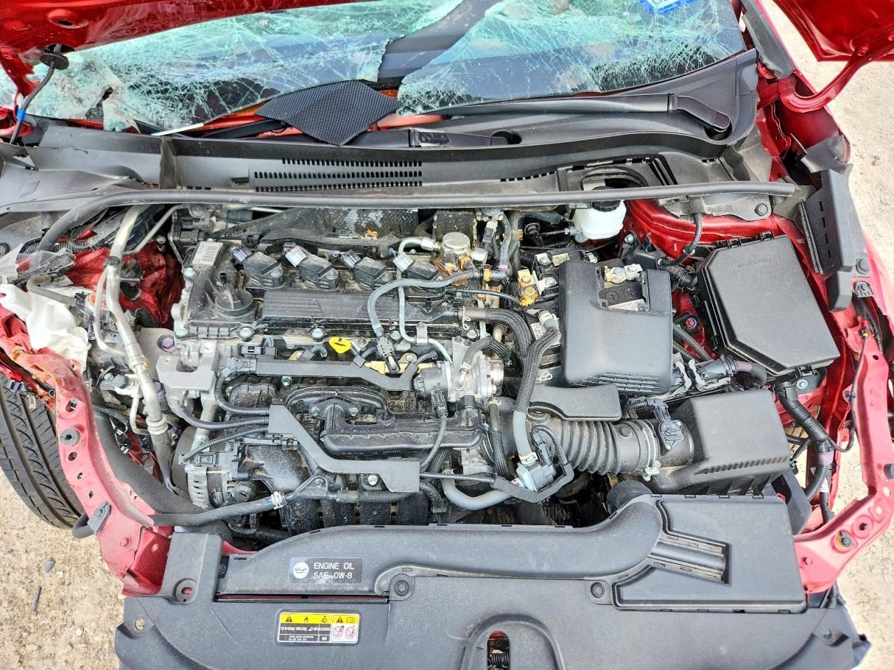 2025 TOYOTA COROLLA