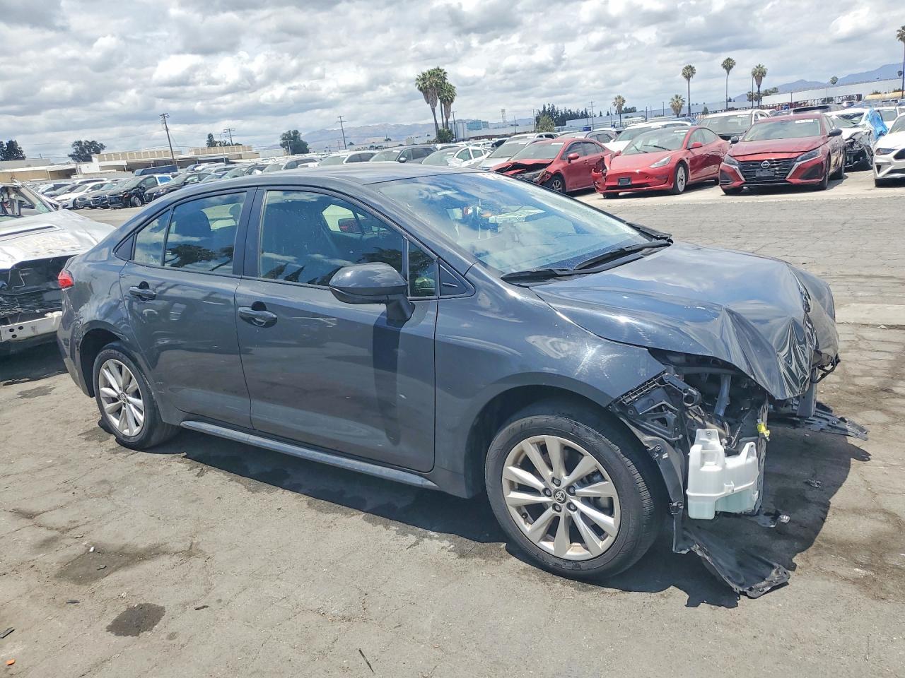 2025 TOYOTA COROLLA