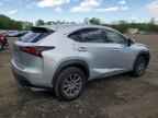 2019 LEXUS NX 300