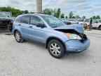 2010 HONDA CR-V