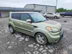 2010 KIA SOUL