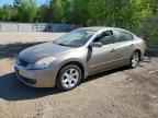 2008 NISSAN ALTIMA