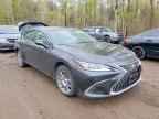 2025 LEXUS ES 300H