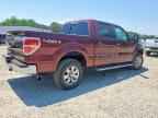 2010 FORD F-150 Lightning