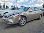 2006 LEXUS ES 330