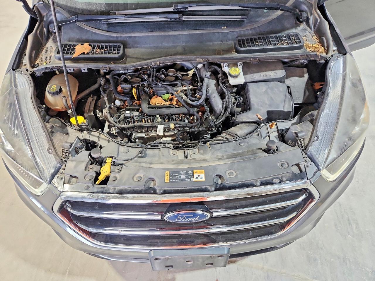2019 FORD ESCAPE