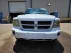 2010 DODGE Dakota