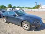 2013 FORD MUSTANG