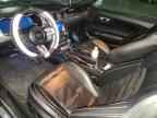 2023 FORD MUSTANG