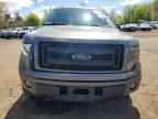 2014 FORD F-150 Lightning