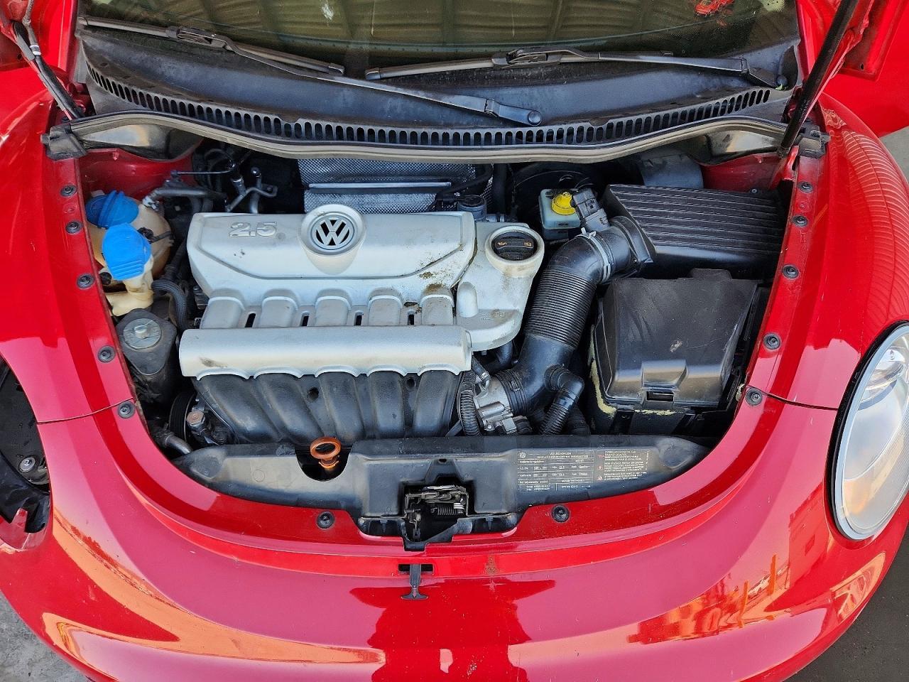 2010 VOLKSWAGEN Beetle