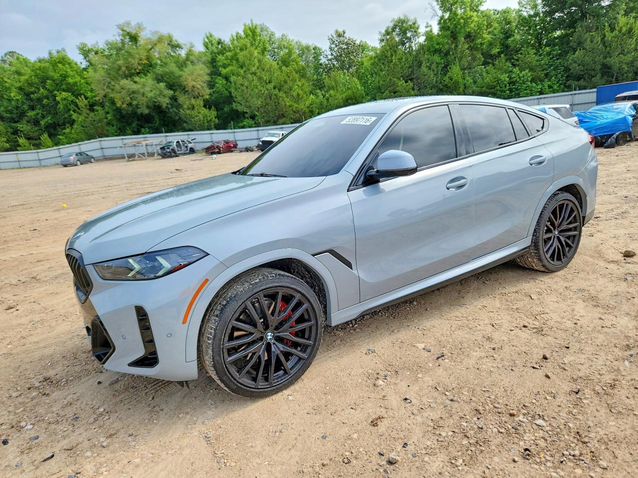 2024 BMW X6